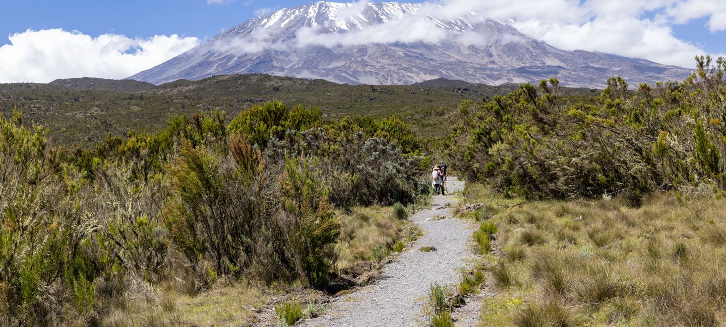 Climb Kilimanjaro — Africa's Highest Summit — 5,895m