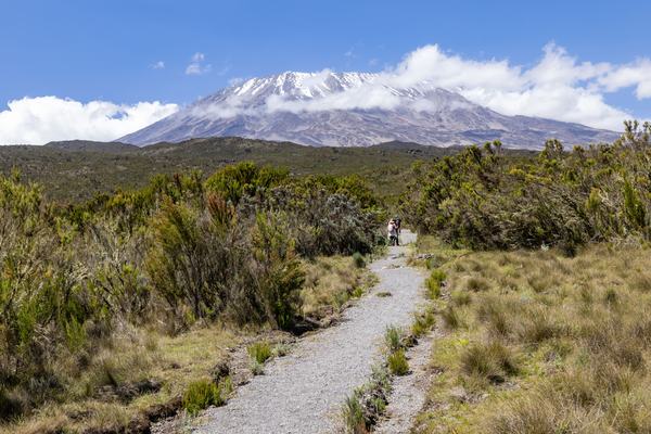 Photographic Tours